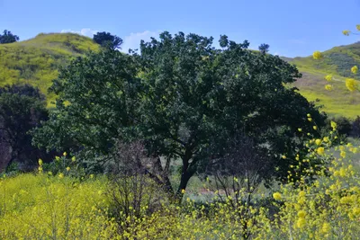 DSC_6138 (Large).JPG